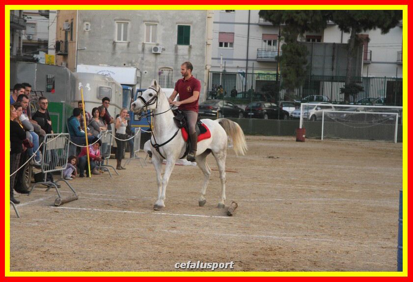 161106 equestre 026_tn.jpg